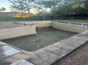 Why More Western Sydney Families Are Choosing Concrete Pools Over Fibreglass